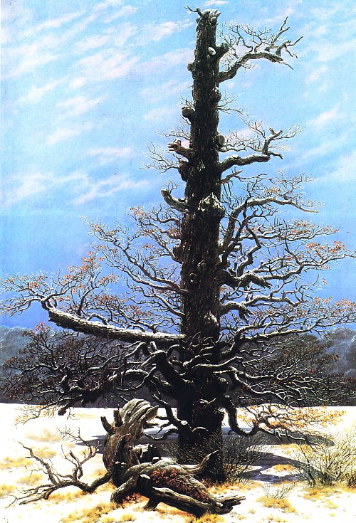 Caspar David Friedrich Eichbaum im Schnee Wandbild