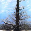 Caspar-David-Friedrich-Eichbaum-im-Schnee