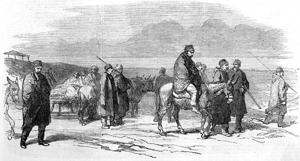 Constantin Guys Arrival at Kalafat of the wounded from Citate Wandbild