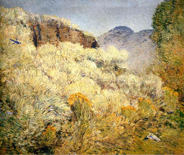 Childe Hassam Harney Desert Wandbild