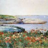 Childe-Hassam-Poppies-Isles-of-Shoals