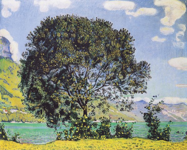 Ferdinand Holler Ein Blick auf den Brienzersee von Boedeli Wandbild