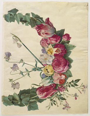 Holtzbecher Johannes Simon Floral vine Wandbild
