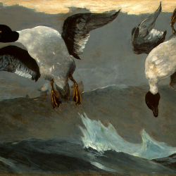 Winslow-Homer-Right-and-Left