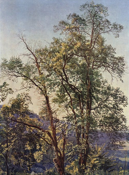 Alexander Andrejewitsch Iwanow Olivenbaum Wandbild