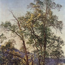 Alexander-Andrejewitsch-Iwanow-Olivenbaum