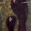 Gustav-Klimt-Nixen-Silberfische