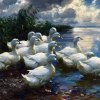 Alexander-Koester-Enten-am-Ufer