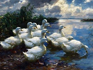 Alexander Koester Enten am Ufer Wandbild