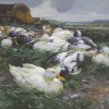 Alexander-Koester-Enten-auf-dem-Feld