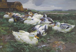 Alexander Koester Enten auf dem Feld Wandbild