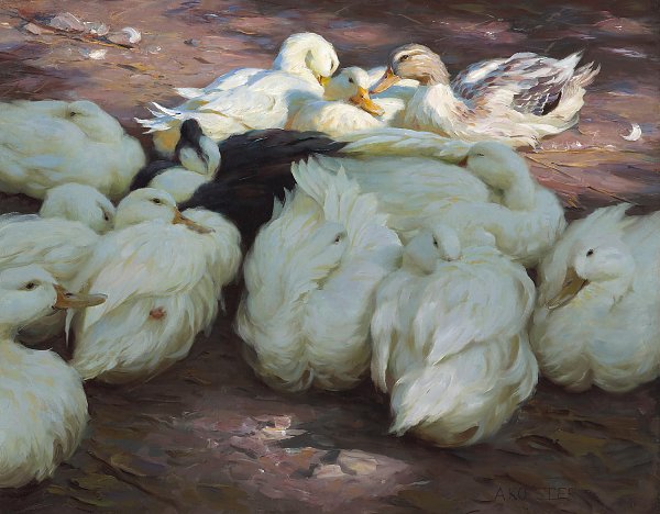 Alexander Koester Ruhende Enten Wandbild