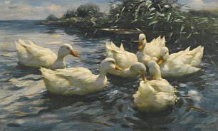 Alexander Koester Sechs Enten Wandbild