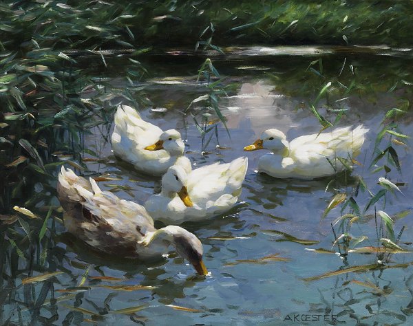 Alexander Koester Vier Enten im Teich Wandbild