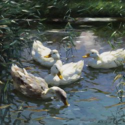 Alexander-Koester-Vier-Enten-im-Teich