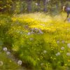 Peder-Severin-Kroyer-Marie-Kroyer-in-the-Garden-at-Skagen