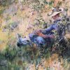 Carl-Larsson-Girl-by-a-Flowering-Hawthorn-Bush