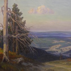 Arnold-Lyongruen-Blick-vom-Feldberg-im-Schwarzwald