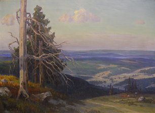 Arnold Lyongruen Blick vom Feldberg im Schwarzwald Wandbild
