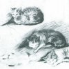 August-Macke-Drei-liegende-Katzen