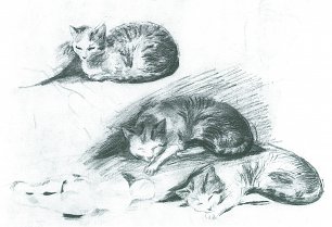 August Macke Drei liegende Katzen Wandbild
