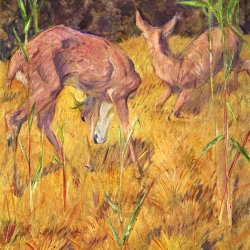 Franz-Marc-Rehe-im-Schilf