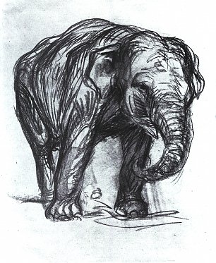 Franz Marc Elefant Wandbild