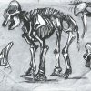 Franz-Marc-Skelett-eines-Elefanten