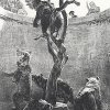 Adolph-Menzel-Folge-Versuche-auf-Stein-mit-Pinsel-und-Schabeisen-2