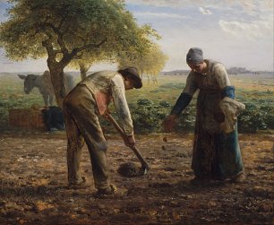 Jean Francois Millet Patata ereileak Wandbild