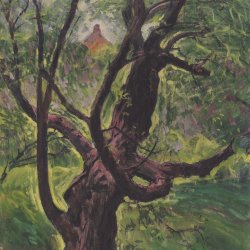 Koloman-Moser-Maulbeerbaum