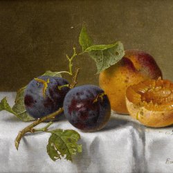 Emilie-Preyer-Pflaumen-und-Aprikosen