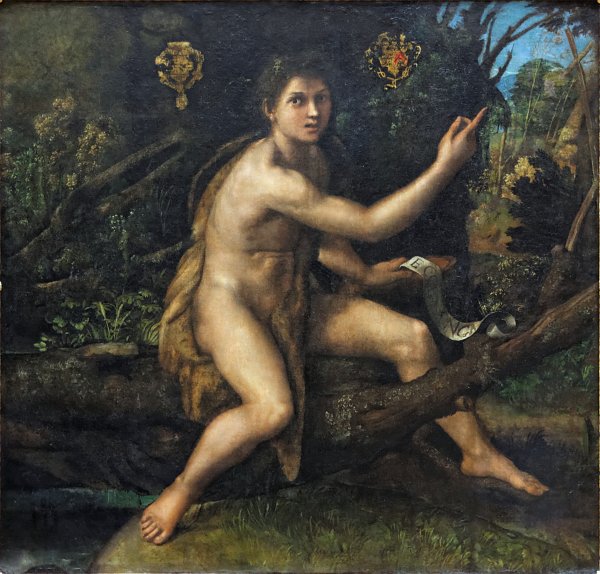 Raffael St John the Baptist in the Wilderness Wandbild