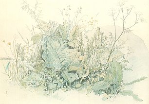 Ludwig Richter Wiesenkraeuter Wandbild