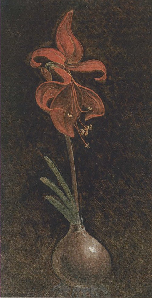 Philipp Otto Runge Amaryllis Wandbild