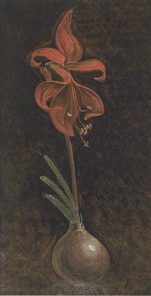 Philipp Otto Runge Amaryllis Wandbild