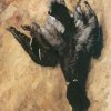 Carl-Schuch-Haengende-Wildente