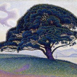 Paul-Signac-The-Bonaventure-Pine