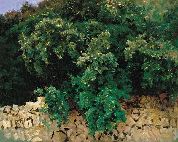 John Singer Sargent Carrascal Mallorca Wandbild