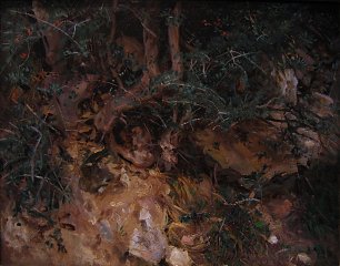 John Singer Sargent Valdemosa Majorca Thistles and Herbage on a Hillside Wandbild