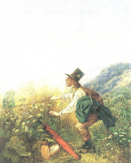 Carl Spitzweg Der Schmetterlingsfaenger Botaniker Wandbild