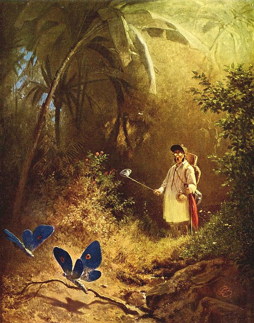 Carl Spitzweg Der Schmetterlingsfaenger Wandbild