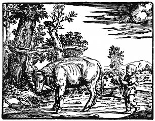 Tizian Hirtenknabe mit jungem Stier Wandbild