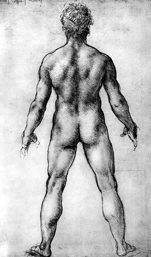 Leonardo Da Vinci Maennlicher Akt Rueckenfigur Wandbild