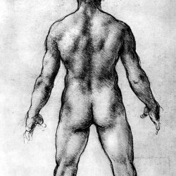 Leonardo-Da-Vinci-Maennlicher-Akt-Rueckenfigur