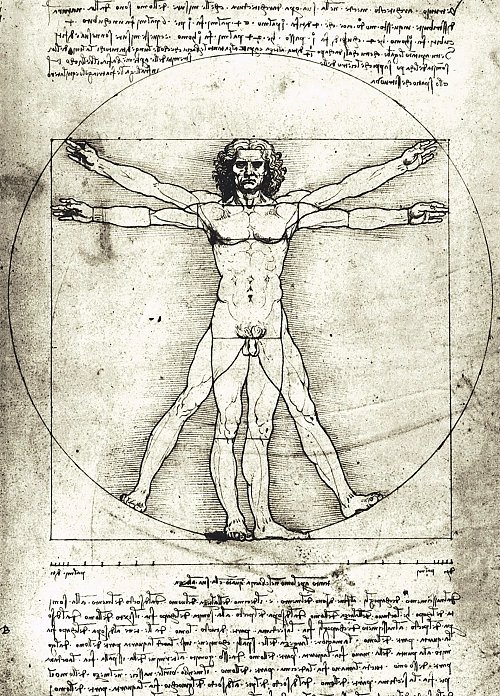 Leonardo Da Vinci Proportionsstudie nach Vitruv Wandbild