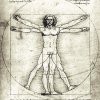 Leonardo-Da-Vinci-Proportionsstudie-nach-Vitruv