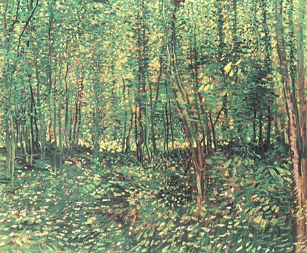Vincent van Gogh Baeume und Unterholz Wandbild