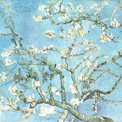 Vincent-van-Gogh-Bluehende-Mandelbaumzweige