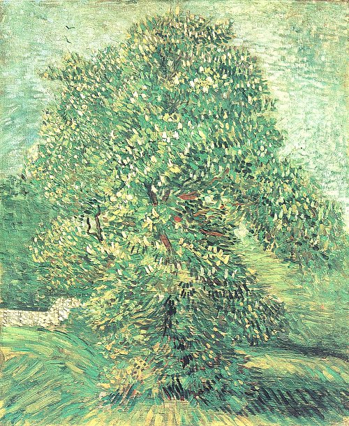 Vincent van Gogh Bluehender Kastanienbaum 1 Wandbild